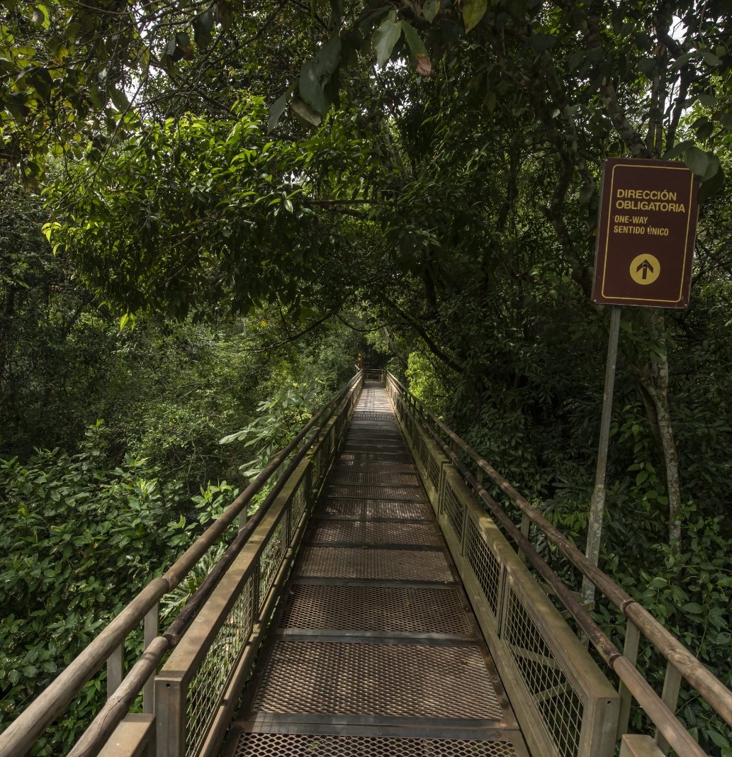 PN Iguazú_Ph_ParquesNacionales