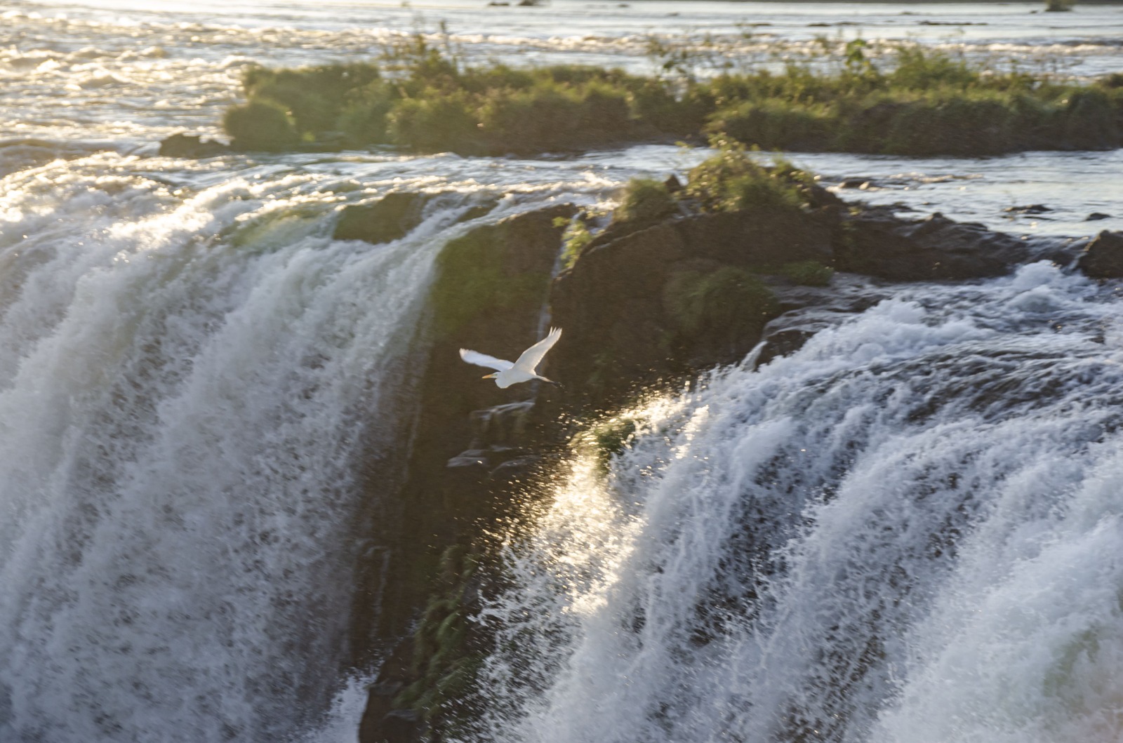 PN Iguazú_Ph_ParquesNacionales_07